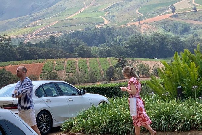 Table Mountain & Constantia Wine Tasting Full Day Tour. - The guide and vehicle can make or break the day