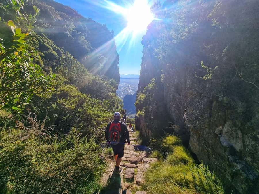 Table Mountain Group Hike - Solo Travelers welcome - Platteklip Gorge, Table Mountain’s Straight-Up Route