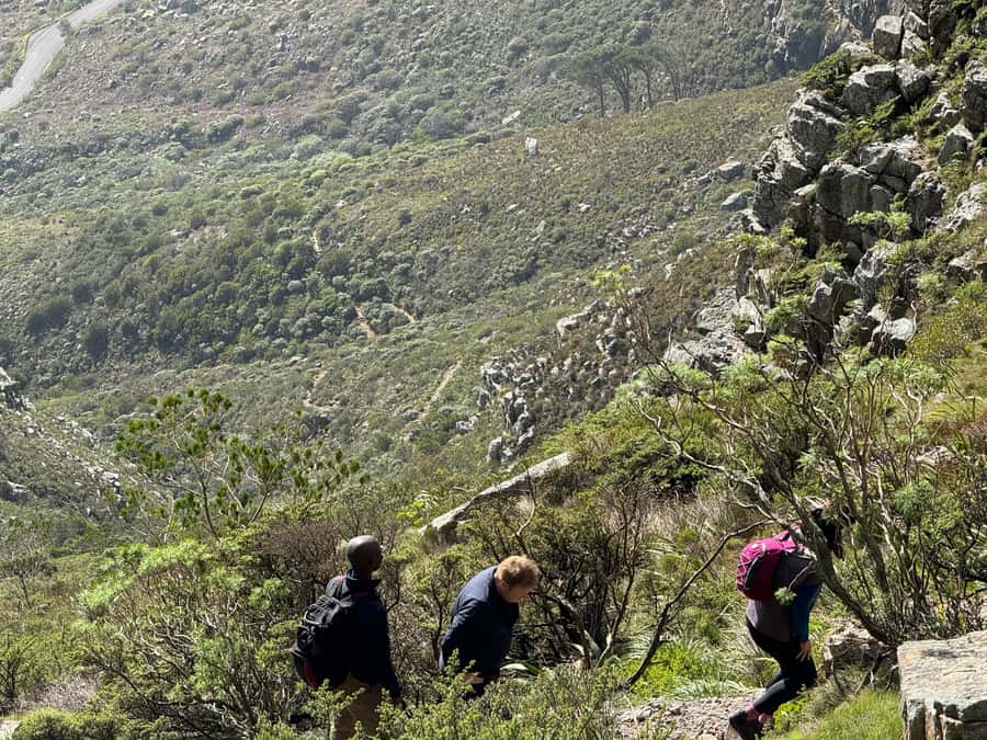 Table Mountain Group Hike - Solo Travelers welcome - Meeting at Tafelberg Road