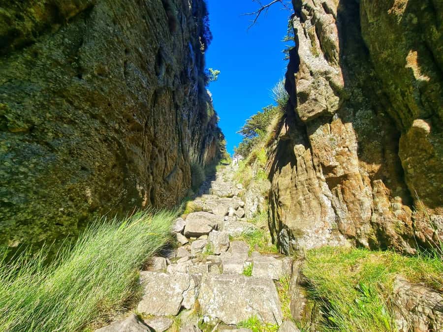 Table Mountain Group Hike - Solo Travelers welcome - Cape Town and Atlantic Views as Your Reward