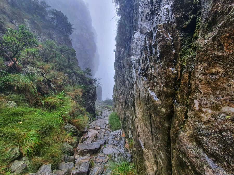 Table Mountain Group Hike - Solo Travelers welcome - Booking Flexibility and Small Details That Matter