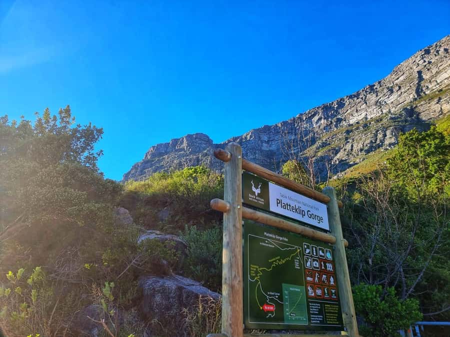 Table Mountain Group Hike - Solo Travelers welcome - The 2.5-Hour Climb Through the Gorge