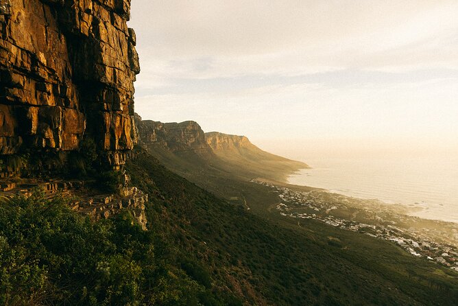 Table Mountain Guided Hike-epic adventure for all fitness levels - Forest, fynbos, and rough mountain paths