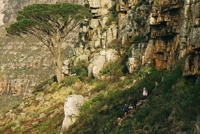Table Mountain Guided Hike-epic adventure for all fitness levels - Coffee, tea, and the mountain meal question