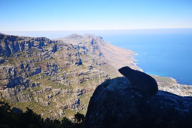 Table Mountain Half Day Hike: India Venster Trail - Reaching the flat summit of Table Mountain