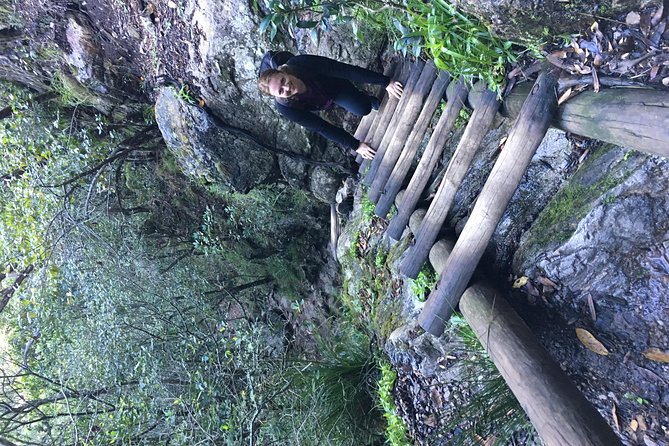 Table Mountain Hike (All routes) - Private Tour - Platteklip Gorge: the shortest and most direct climb