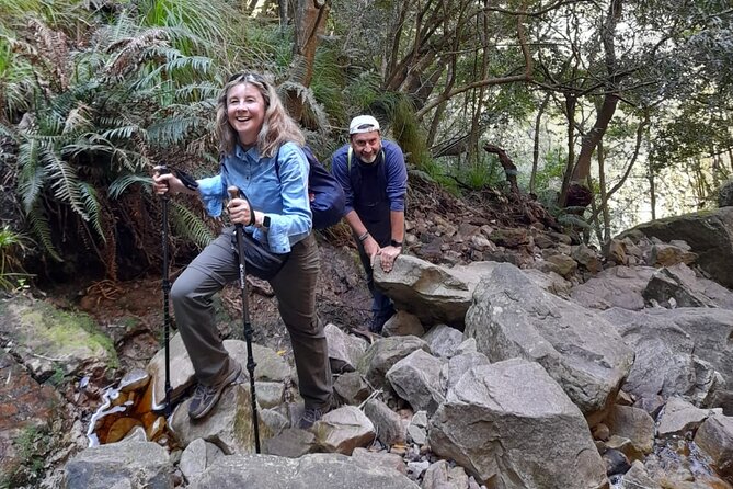 Table Mountain Hike (All routes) - Private Tour - The summit and cable car descent