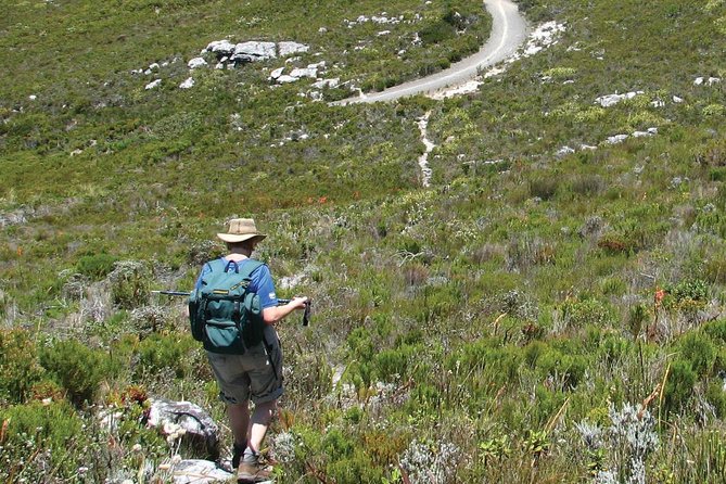 Table Mountain Hike from Cape Town - Reaching the flat summit is the payoff