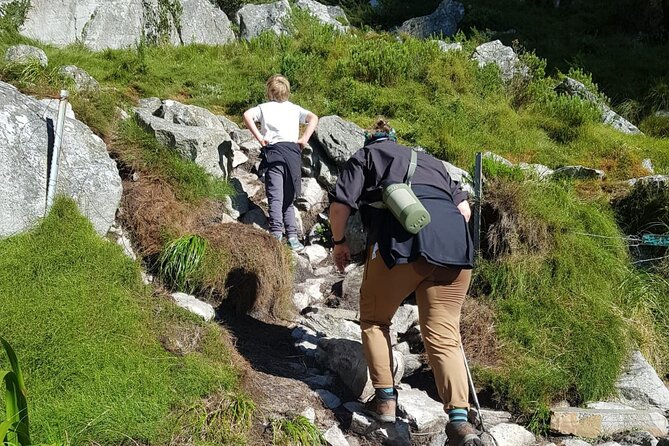 Table Mountain Hiking - What the guide adds to the day