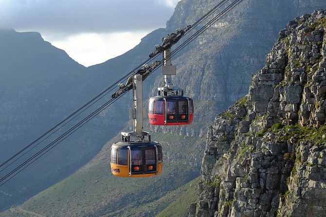 Table Mountain, Kirstenbosch and Constantia Winelands Full Day Private Tour - Tasting history at Groot Constantia