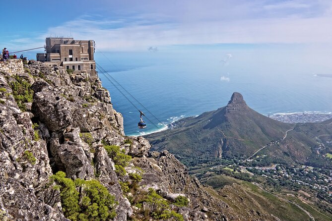 Table Mountain, Penguin,Cape Point Private Day Tour in Cape Town - Boulders Beach and African penguins