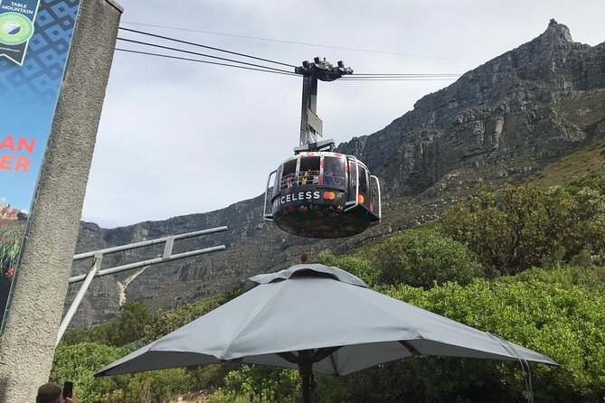 Table Mountain, Penguins and Cape Point Sharing GroupTour - One long day, many sides of Cape Town