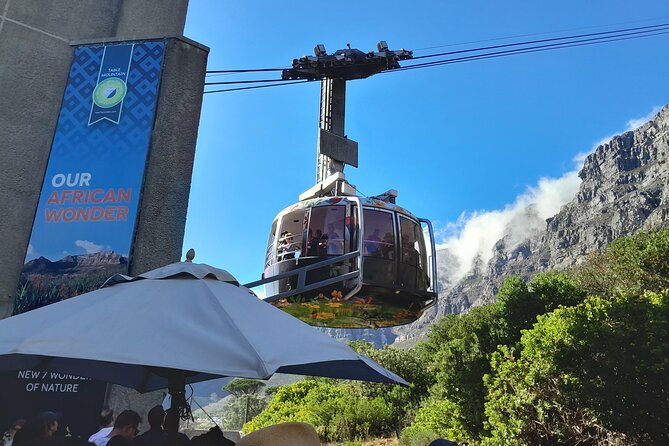 Table Mountain, Penguins, Cape of Good Hope: Private Tour - At a glance