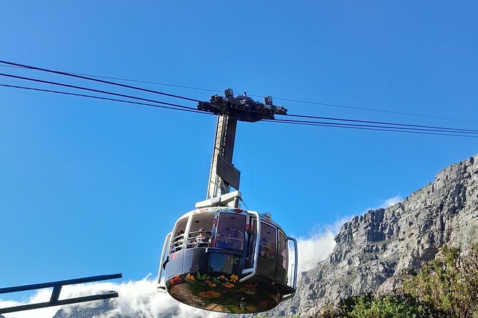 Table Mountain, Penguins, Cape of Good Hope: Private Tour - Maidens’ Cove, Hout Bay, and the road south