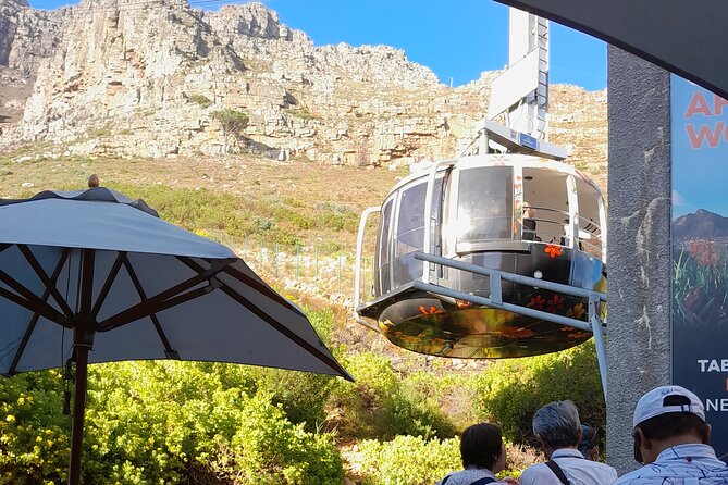 Table Mountain, Penguins, Cape of Good Hope: Private Tour - Muizenberg Beach and the return to Cape Town