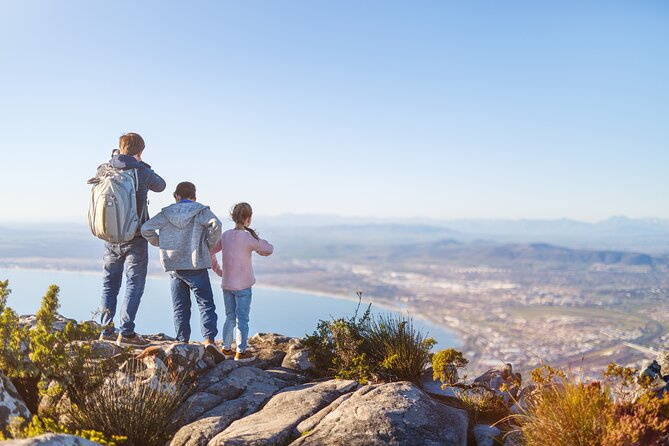 Table Mountain, Penguins & Cape of Good Hope Small Group Top Tour from Cape Town - Why this Cape Town day works