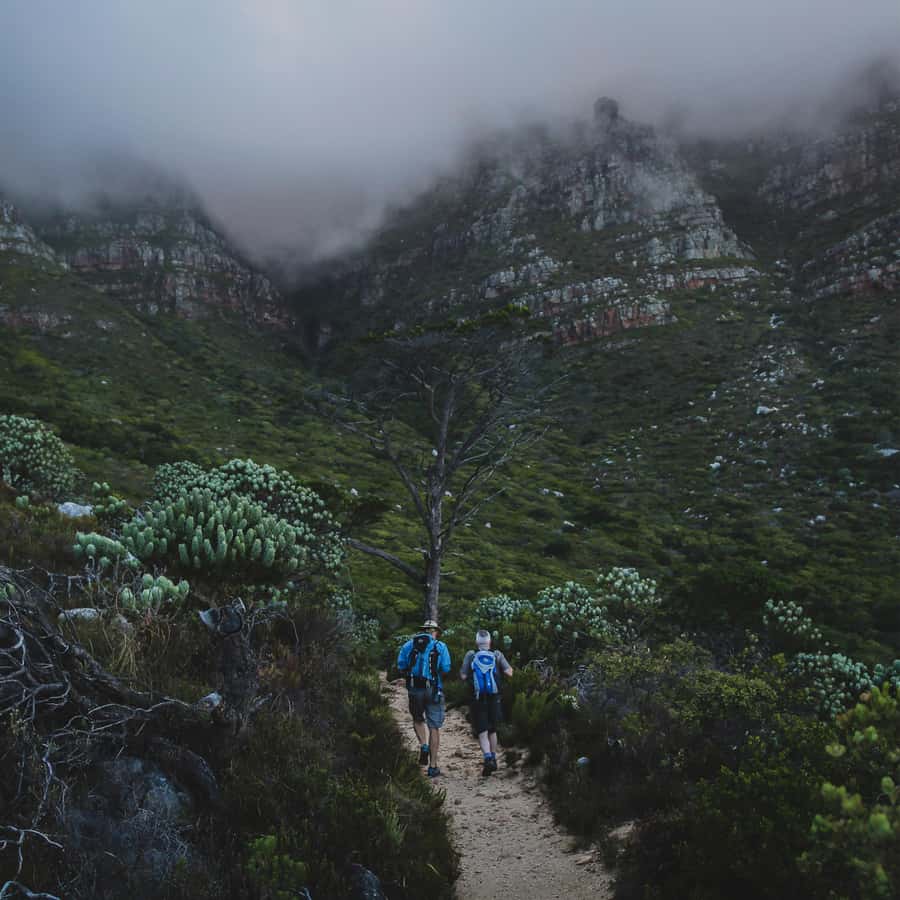 Table Mountain: Skeleton Gorge Hike - Reaching Table Mountain and Hely-Hutchinson Reservoir
