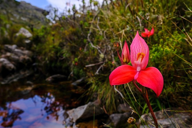 Table Mountain Summit Hike via Kasteelspoort - Continuing to the summit plateau at 1,067 metres
