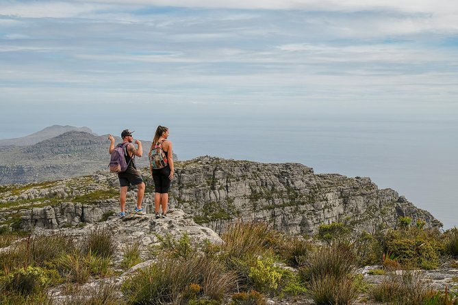Table Mountain Summit Hike via Kasteelspoort - What the private guide adds