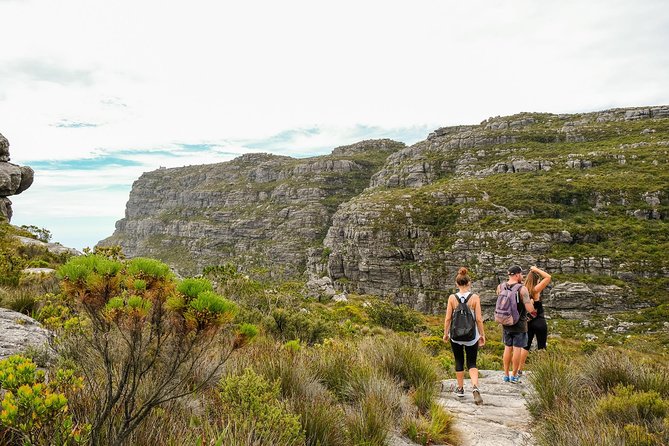Table Mountain Summit Hike via Kasteelspoort - Price, extra costs, and overall value
