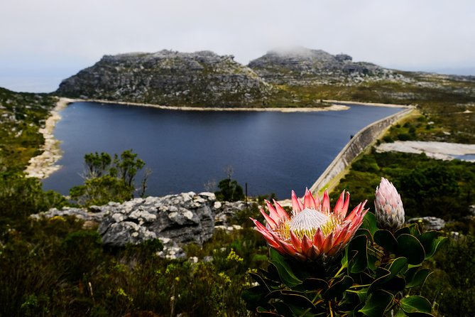 Table Mountain Summit Hike via Kasteelspoort - Starting at 25 Theresa Avenue in Bakoven