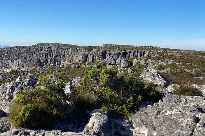 Table Mountain Tour including Pick Up & Drop Off from Cape Town - Three hours above the city