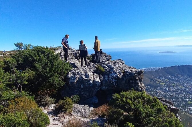 Table Mountain Tour including Pick Up & Drop Off from Cape Town - Who gets the best value from $92.50?