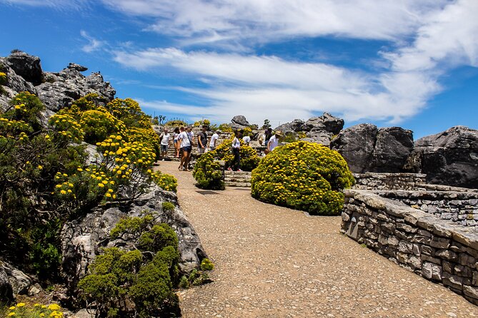 Table Mountain Tour - The five-minute cable-car ride to 1,067 meters