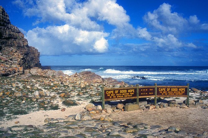 Table Mountain-Wines-Penguins-Cape Point All Inclusive Group Tour - Cape Point Vineyards gives the day a calmer middle