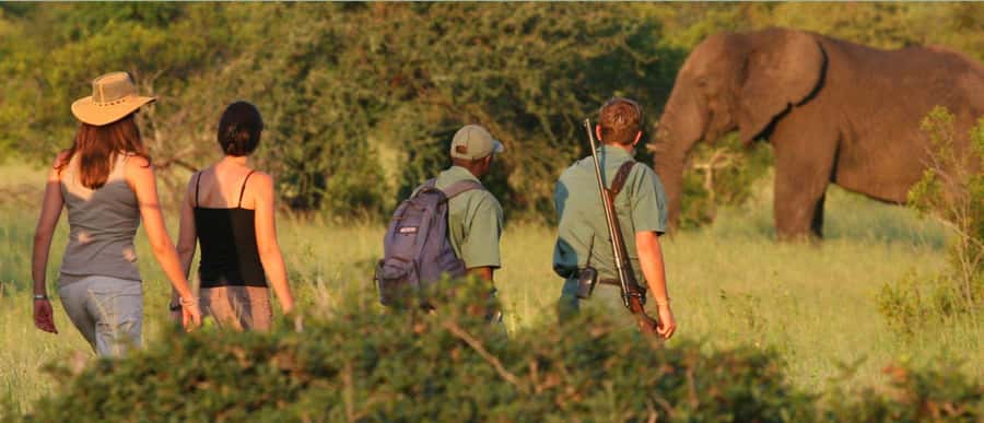 Tala Game Reserve & Natal Lion Park 1/2 Day Tour from Durban - What the 7:30am departure means for you