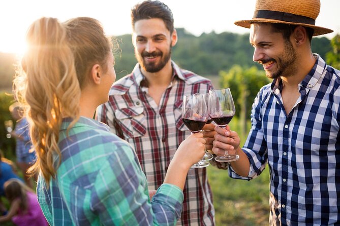 Taste + Tram the Winelands Tour: Franschhoek, Stellenbosch, Paarl - Fairview brings cheese, wine, and a good first taste