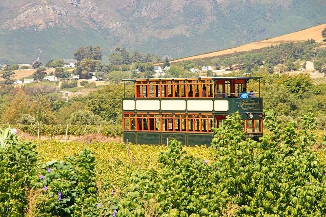 Taste + Tram the Winelands Tour: Franschhoek, Stellenbosch, Paarl - What the $189.79 price really covers