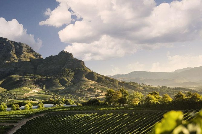 Taste + Tram the Winelands Tour: Franschhoek, Stellenbosch, Paarl - Who will enjoy this tour most