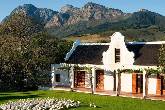 Tastes of Stellenbosch Wine Full Day Tour with Private Transfer - Key points at a glance
