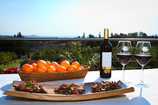Tastes of Stellenbosch Wine Full Day Tour with Private Transfer - Lunch in Stellenbosch, with room to choose