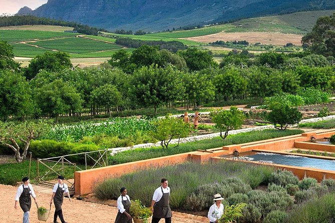 Tastes of Stellenbosch Wine Full Day Tour with Private Transfer - Guides who add value to the tastings