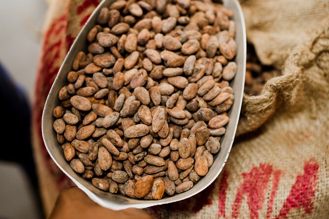 The Art of Chocolate Making Bean-To-Bar Experience in Cape Town - Price, timing, and the question of value