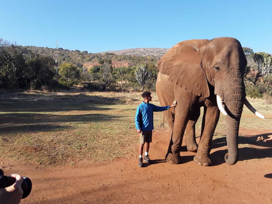 The Elephant and Monkey Sanctuary. - How the five-hour schedule works