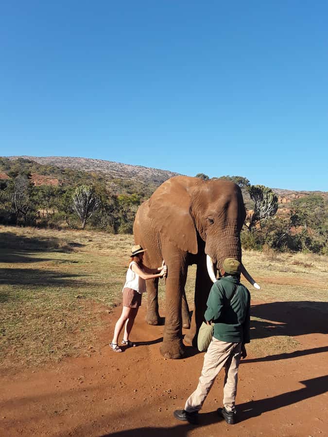 The Elephant and Monkey Sanctuary. - What to wear and what to protect