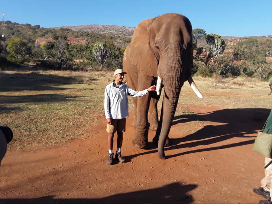The Elephant and Monkey Sanctuary. - Meeting the elephants at close range
