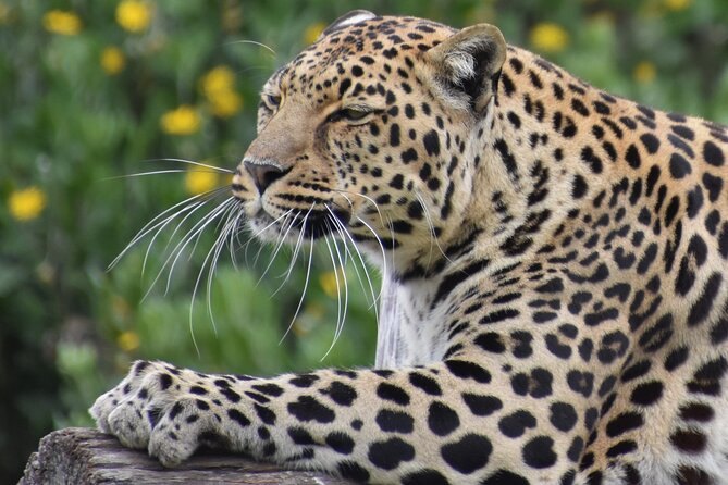 The Private Wildlife Tour - Why the Sunset Timing Matters for Photography
