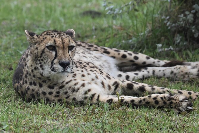 The Private Wildlife Tour - Is $35.27 a Fair Price?