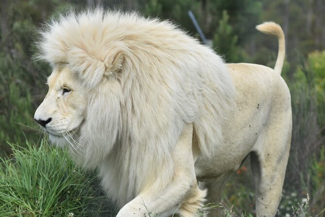 The Private Wildlife Tour - Who Will Enjoy This Tour Most?