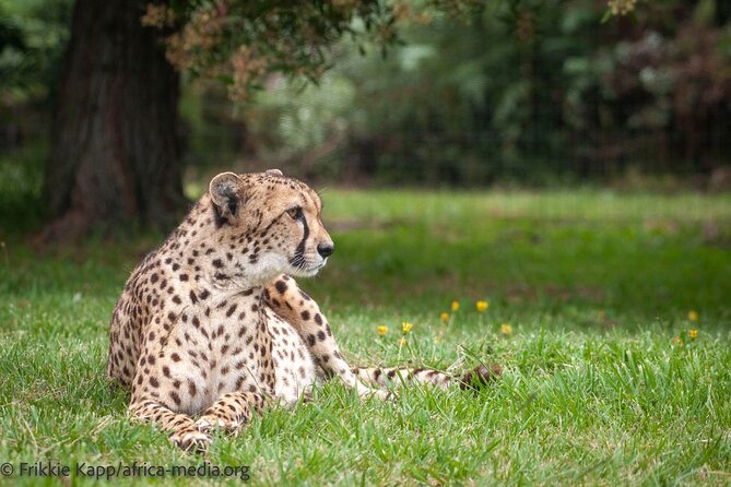 The Private Wildlife Tour - Booking and Cancellation Details to Note
