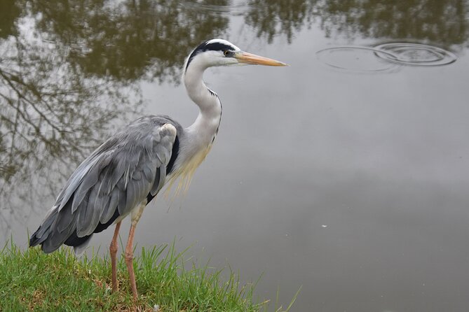The Private Wildlife Tour - A Two-Hour Visit Built Around Guided Encounters