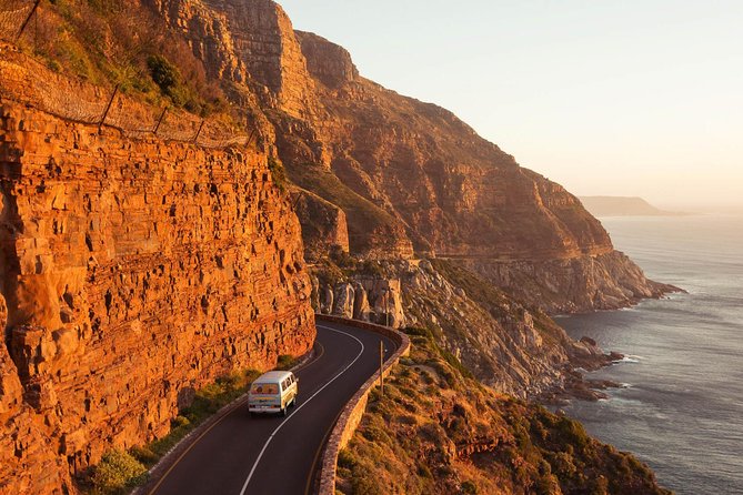 The Road Trip (Cape Point and Penguins) - The guide can shape the whole day