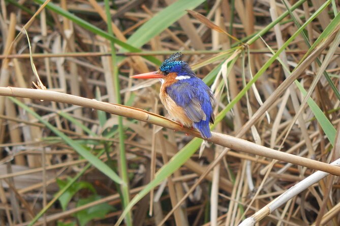 Touw River Boat Cruise - Wilderness National Park - Starting with Wilderness River Safaris