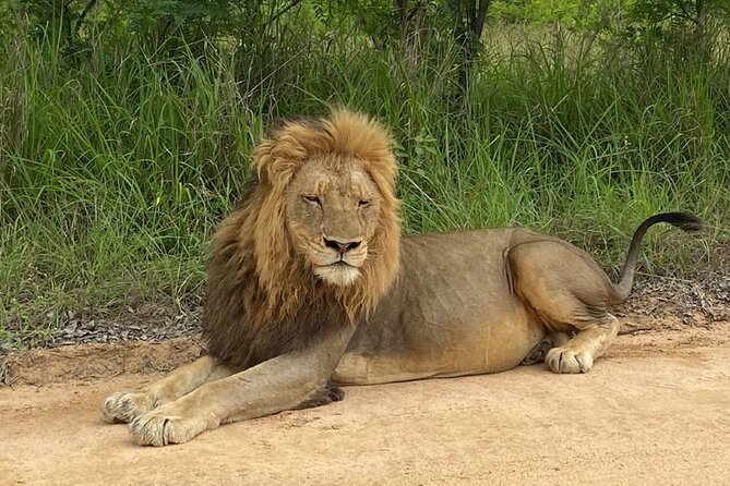 Two Days, One Night Tour: Blyde River to Kruger National Park - Blyde River Canyon brings the biggest views