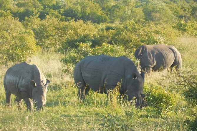 Two Days, One Night Tour: Blyde River to Kruger National Park - Lunch at Harrie’s Pancakes, then Graskop Gorge