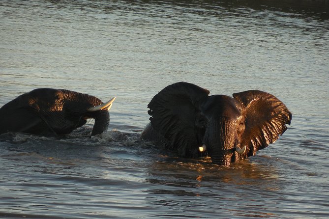 Two Days, One Night Tour: Blyde River to Kruger National Park - A tented camp inside Kruger